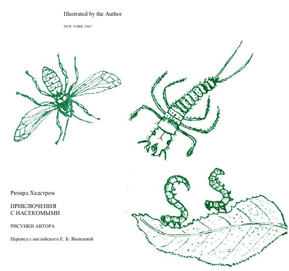 Книгаго: Приключения с насекомыми. Иллюстрация № 2