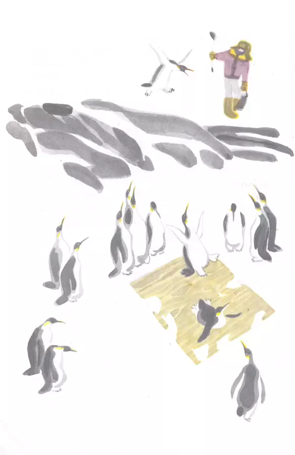 Книгаго: Про пингвинов. Рассказы. Иллюстрация № 6