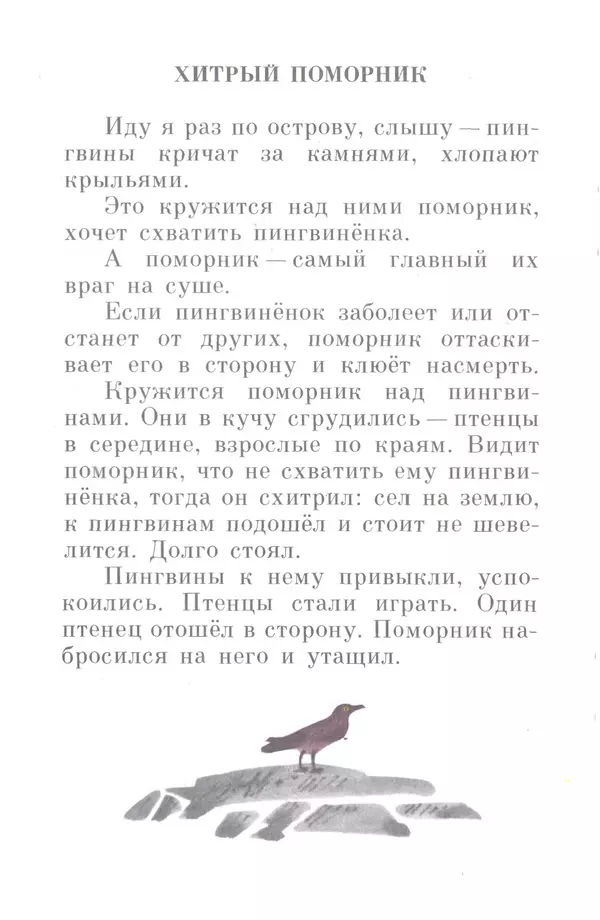 Книгаго: Про пингвинов. Рассказы. Иллюстрация № 9