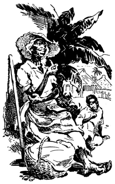 Книгаго: Мальчик с Антильских островов. Иллюстрация № 2