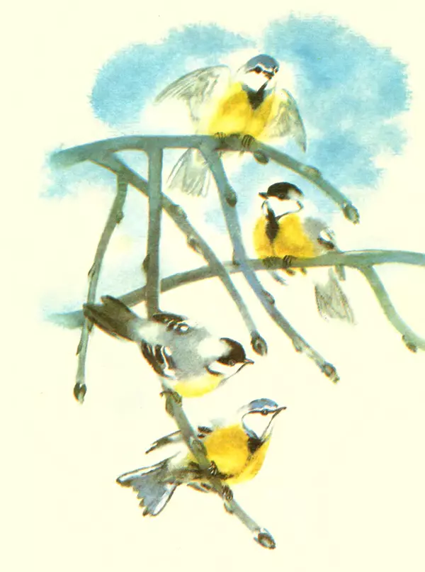 Книгаго: Про птиц. Иллюстрация № 2