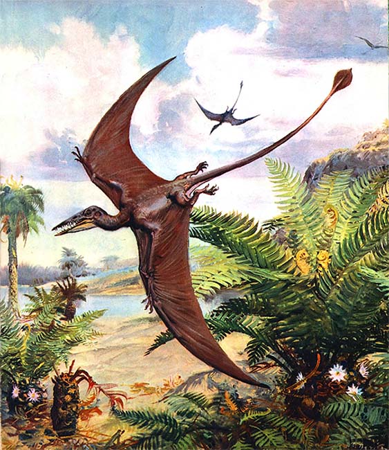 Книгаго: Летающие ящеры и древние птицы. Иллюстрация № 26