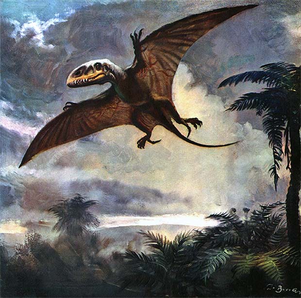 Книгаго: Летающие ящеры и древние птицы. Иллюстрация № 28