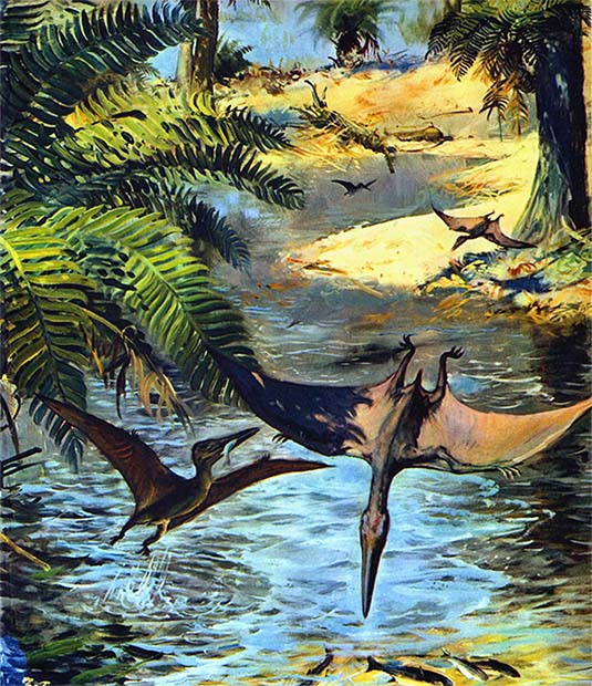 Книгаго: Летающие ящеры и древние птицы. Иллюстрация № 29