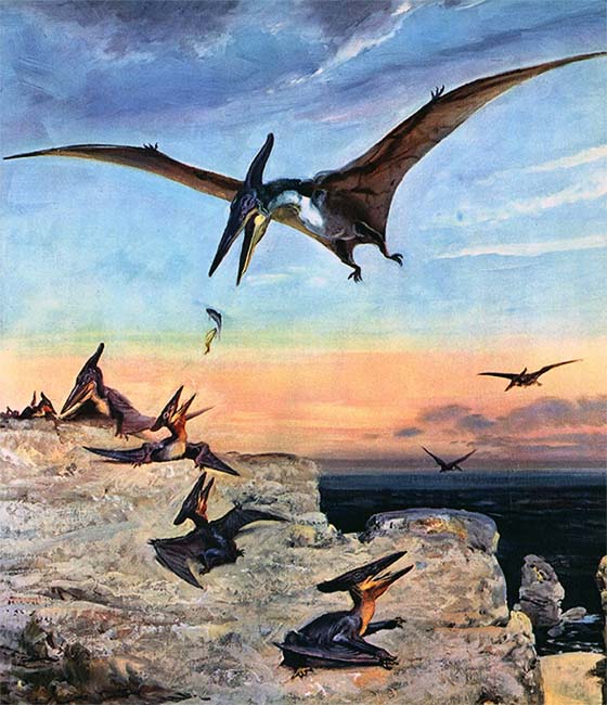 Книгаго: Летающие ящеры и древние птицы. Иллюстрация № 32