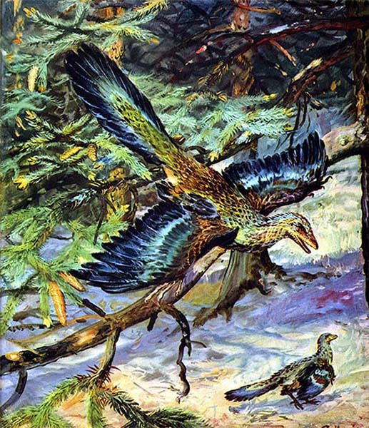 Книгаго: Летающие ящеры и древние птицы. Иллюстрация № 33