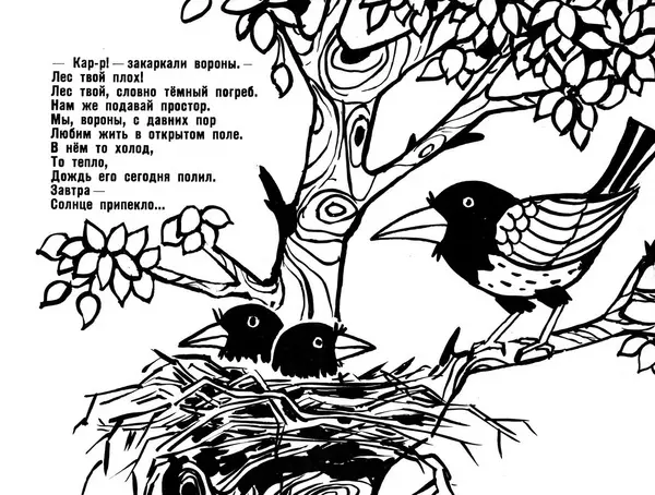 Книгаго: Как птицы спорили. Альбом для раскрашивания. Иллюстрация № 9