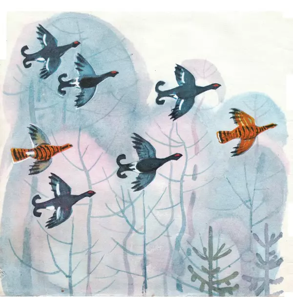 Книгаго: Птицы наших лесов. Иллюстрация № 2