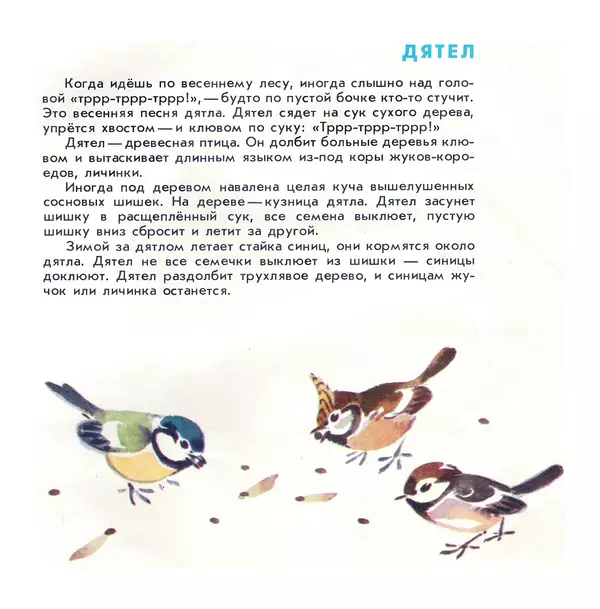 Книгаго: Птицы наших лесов. Иллюстрация № 7