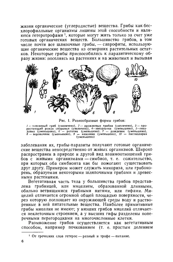 Книгаго: Съедобные и ядовитые грибы. Определитель. Иллюстрация № 6