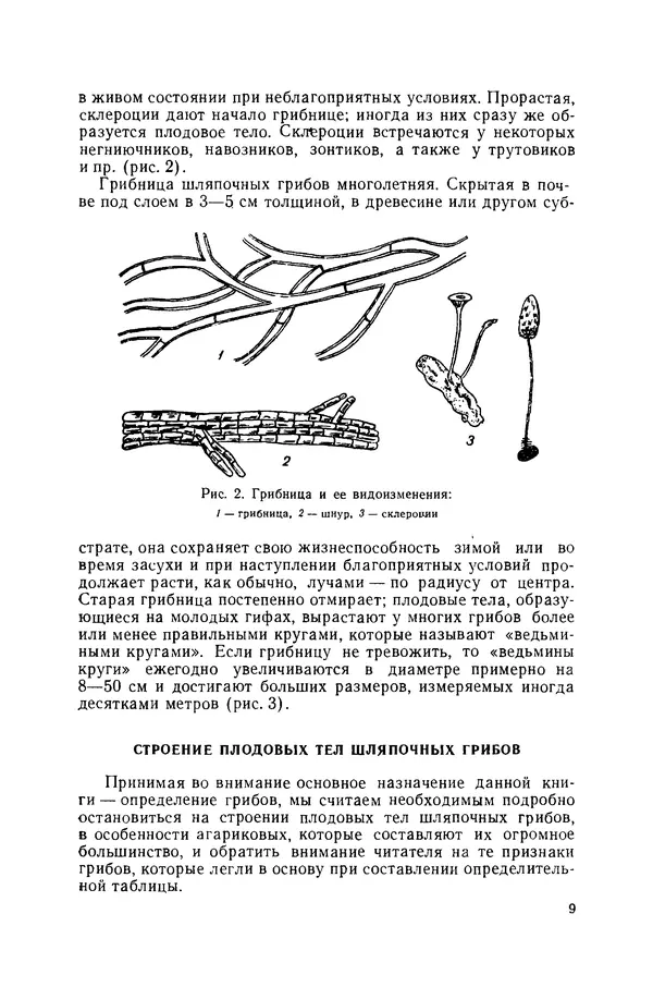 Книгаго: Съедобные и ядовитые грибы. Определитель. Иллюстрация № 9