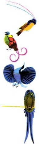 Книгаго: Мир животных Том 3 Птицы. Иллюстрация № 401