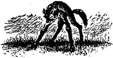 Книгаго: Как звери ногами менялись. Иллюстрация № 2