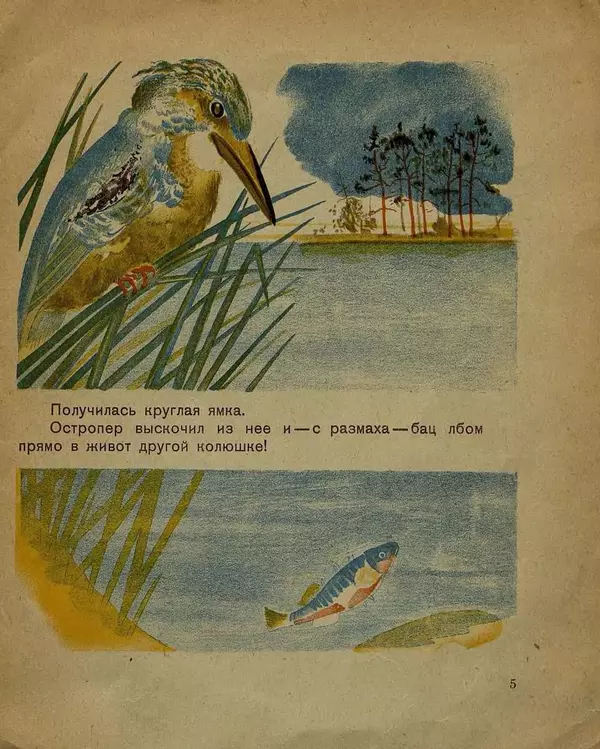 Книгаго: Рыбий дом. Иллюстрация № 5