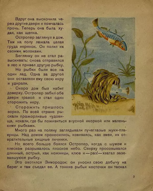 Книгаго: Рыбий дом. Иллюстрация № 9