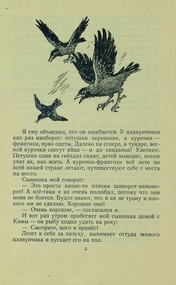 Книгаго: Про птиц. Сборник рассказов. Иллюстрация № 5