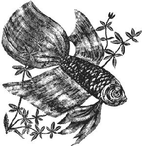Книгаго: Аквариумное рыбоводство. Иллюстрация № 1