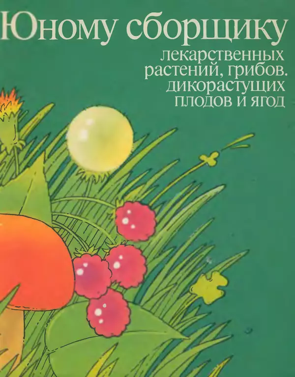 Книгаго: Юному сборщику лекарственных растений, грибов дикорастущих плодов и ягод. Каталог. Иллюстрация № 1