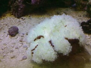 Книгаго: С той стороны стекла. Часть 2. Иллюстрация № 1