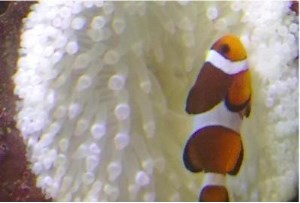 Книгаго: С той стороны стекла. Часть 2. Иллюстрация № 2