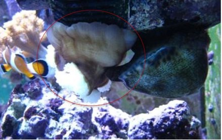 Книгаго: С той стороны стекла. Часть 2. Иллюстрация № 5