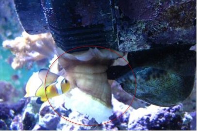 Книгаго: С той стороны стекла. Часть 2. Иллюстрация № 6