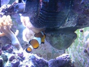 Книгаго: С той стороны стекла. Часть 2. Иллюстрация № 7