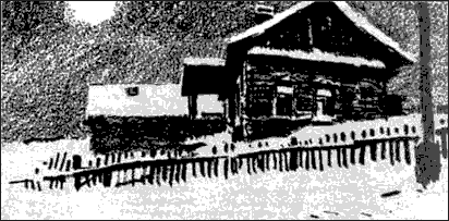 Книгаго: Любовь моя шальная. Иллюстрация № 2