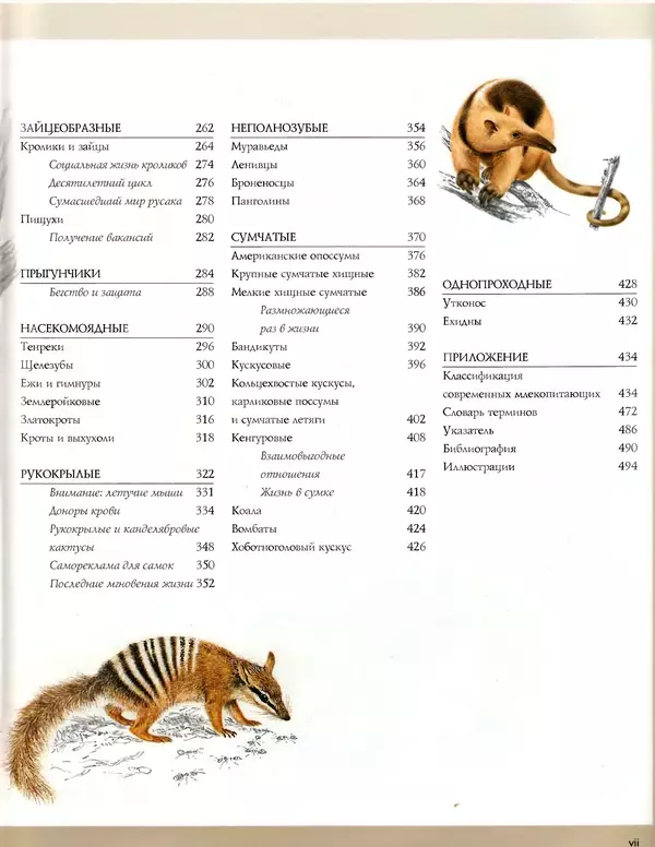 Книгаго: Млекопитающие. Полная иллюстрированная энциклопедия. Книга 2. Иллюстрация № 6