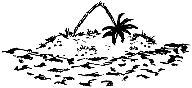 Книгаго: Остров без пальм. Иллюстрация № 1