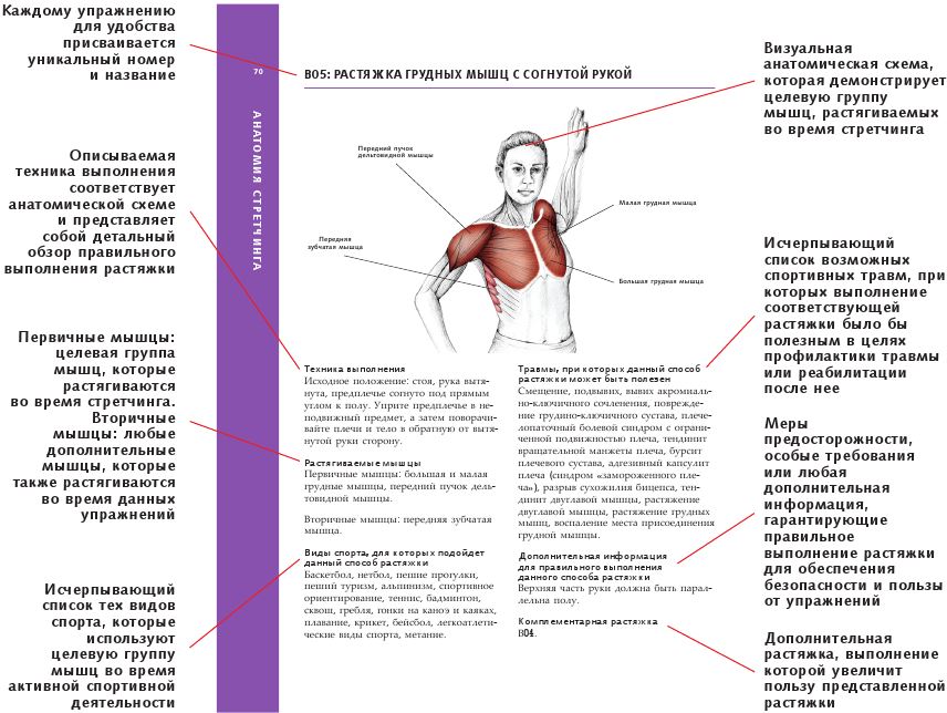 Книгаго: Анатомия стретчинга. Иллюстрация № 1