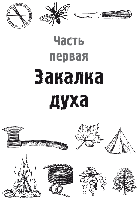 Книгаго: Русский стиль выживания. Как остаться в живых одному в лесу. Иллюстрация № 3