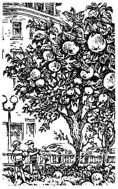 Книгаго: Это вам не яблочный компот!. Иллюстрация № 1