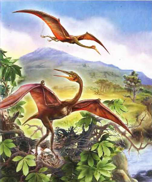 Книгаго: Летающие ящеры и древние птицы. Иллюстрация № 1