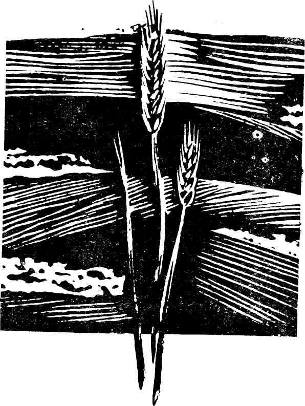 Книгаго: Черный хлеб. Иллюстрация № 1