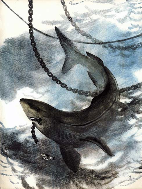Книгаго: Кто в море живет. Иллюстрация № 6