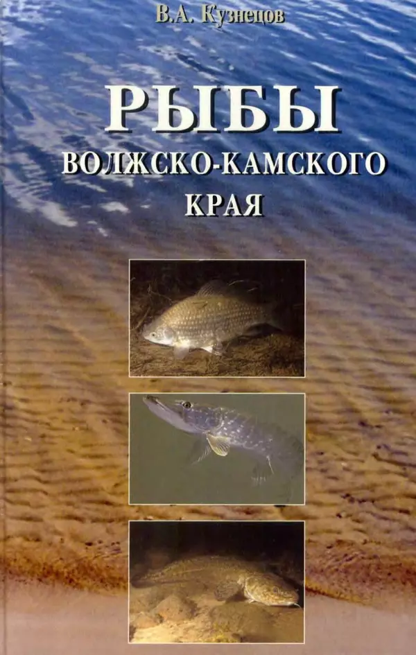 Книгаго: Рыбы Волжко-Камского края. Иллюстрация № 1