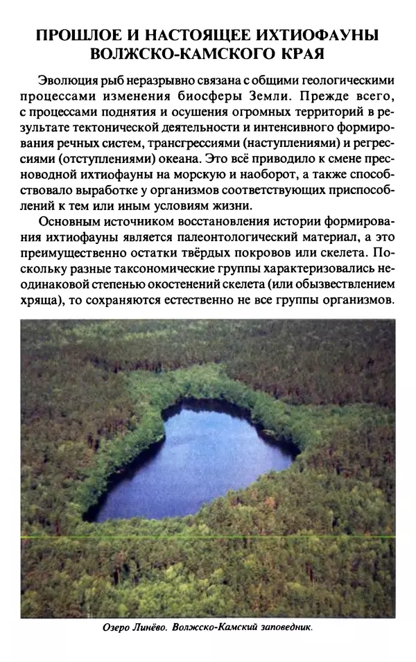 Книгаго: Рыбы Волжко-Камского края. Иллюстрация № 8