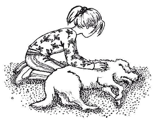 Книгаго: Пёс по имени Мани. Иллюстрация № 2
