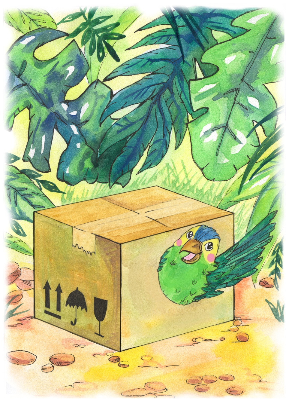 Книгаго: Попуша – попугайчик. Иллюстрация № 1