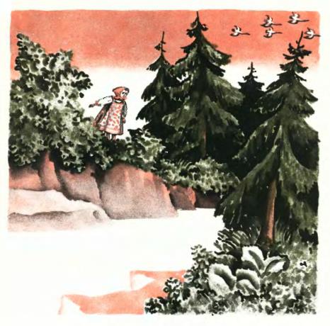 Книгаго: Гуси-лебеди. Иллюстрация № 8