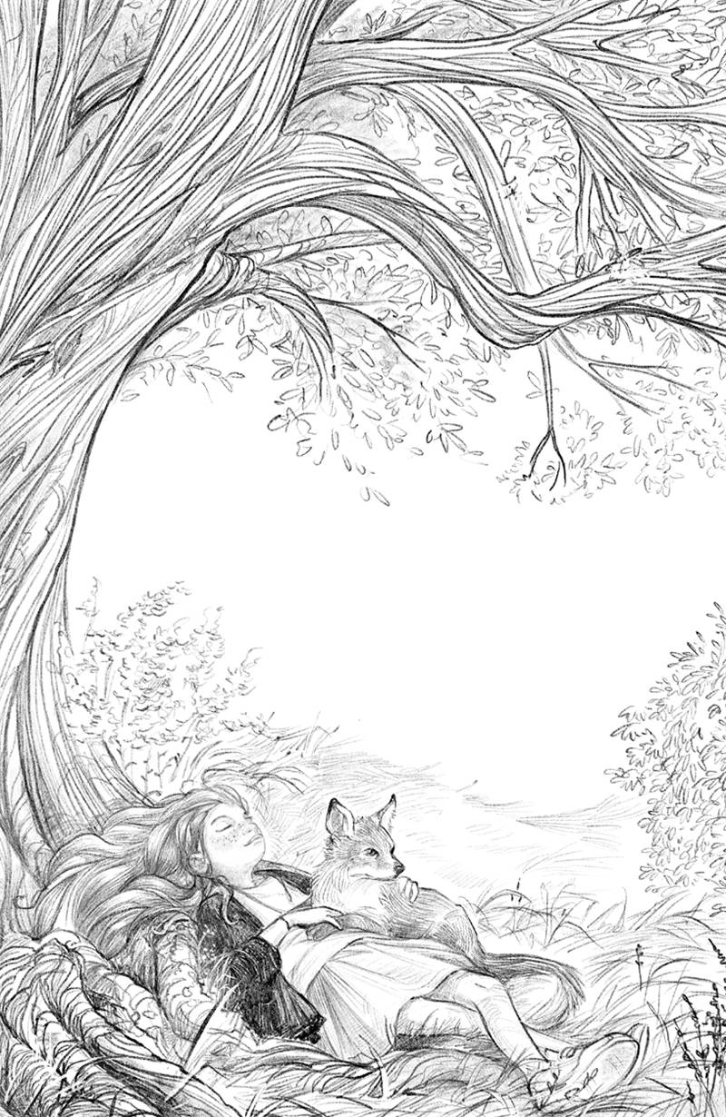 Книгаго: Говорящий лес. Иллюстрация № 5