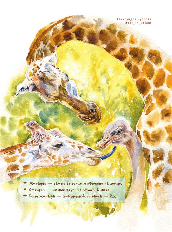 Книгаго: #ДругЗаДруга. Книга о дружбе животных и людей. Иллюстрация № 1