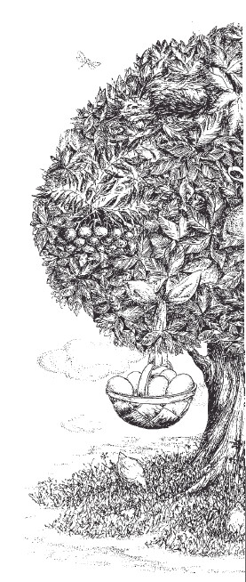 Книгаго: Соседи по свету. Дерево, полное птиц. Иллюстрация № 1
