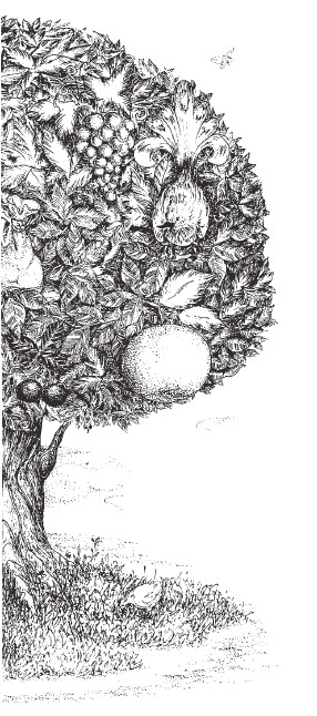 Книгаго: Соседи по свету. Дерево, полное птиц. Иллюстрация № 2