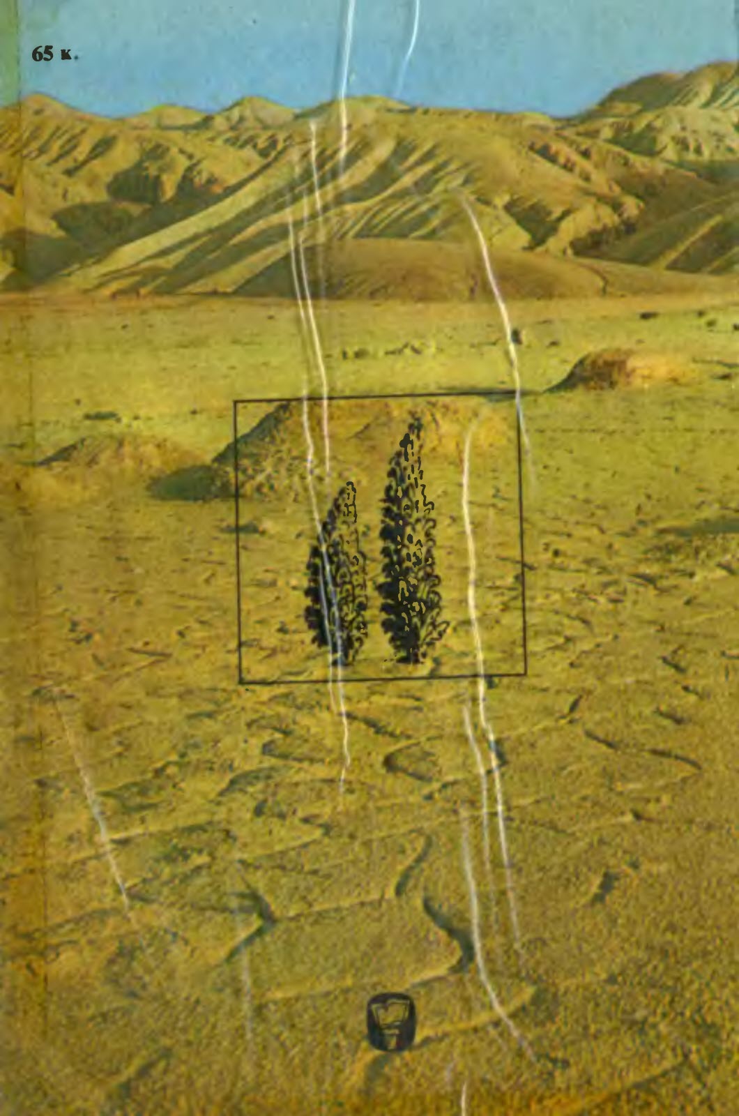Книгаго: В пустынях Казахстана. Иллюстрация № 103