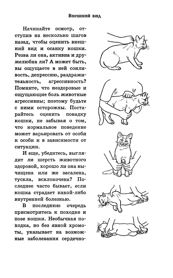 Книгаго: Если кошка заболела... Вопросы и ответы про здоровье наших мурок. Иллюстрация № 7
