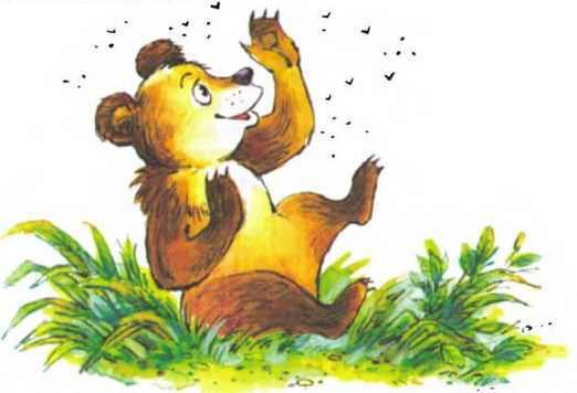 Книгаго: Пять забавных медвежат. Иллюстрация № 4