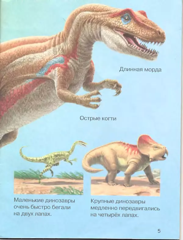 Книгаго: Динозавры. Иллюстрация № 6