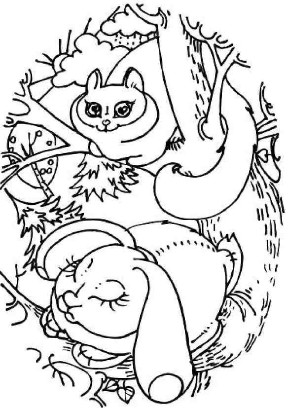 Книгаго: Кошкин мир (сборник). Иллюстрация № 1